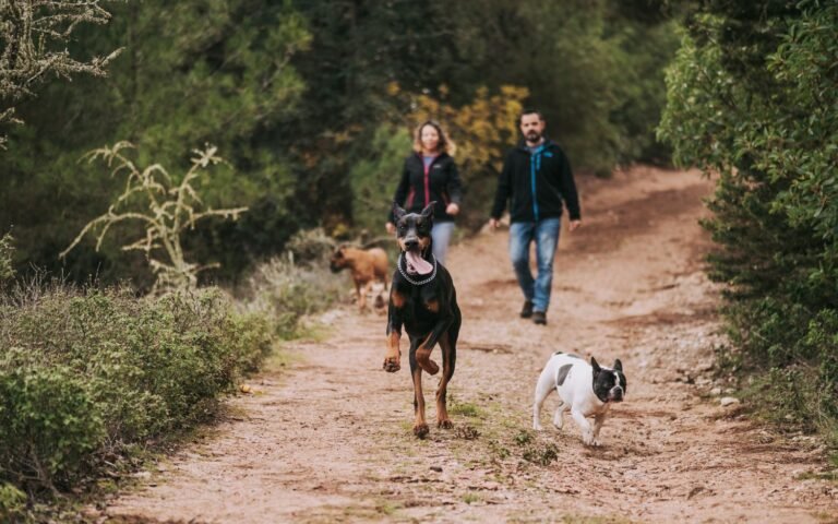 Convivir con un Doberman